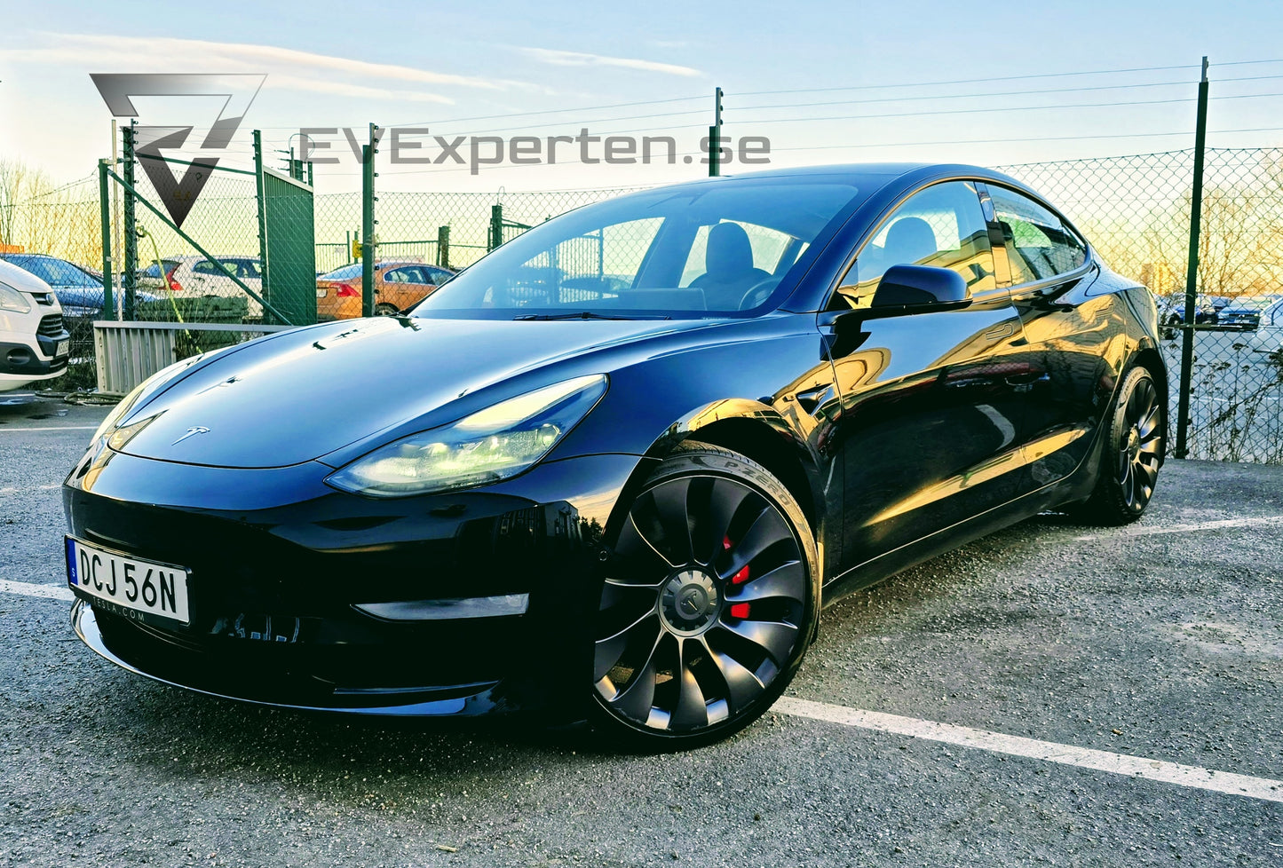 Deposition - Tesla Model 3 Performance - Full Refresh - 2021