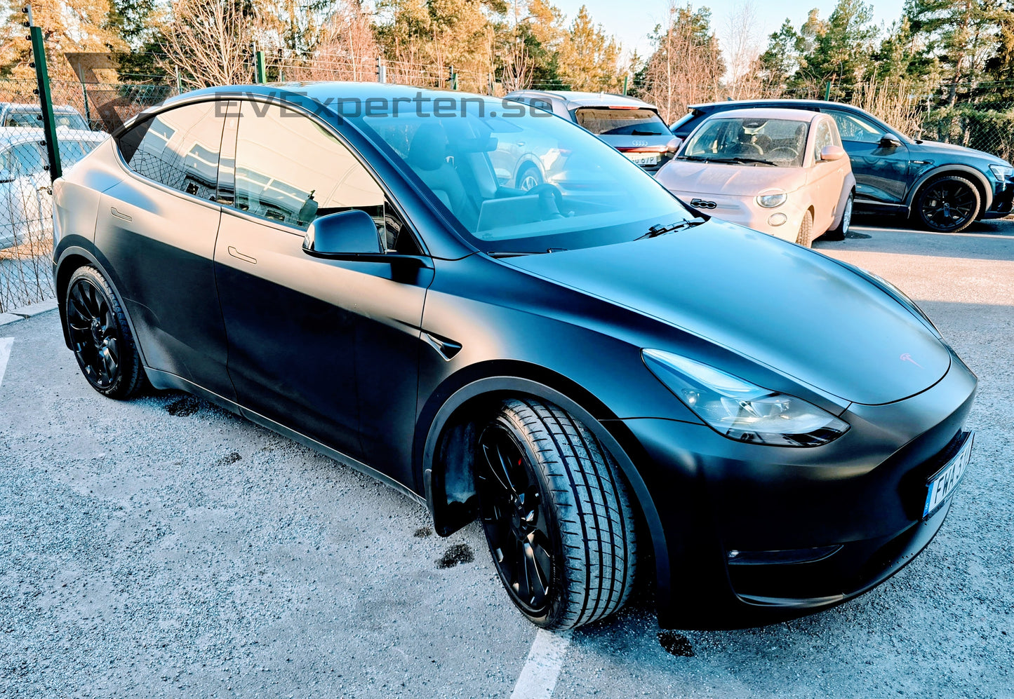 Deposition - Tesla Model Y Performance - Folierad, PPF & Drag - 2023