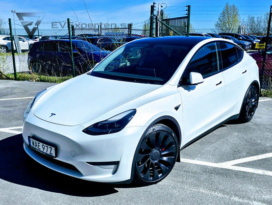 Deposition - Tesla Model Y Performance - Ryzen & Dragkrok - 2023