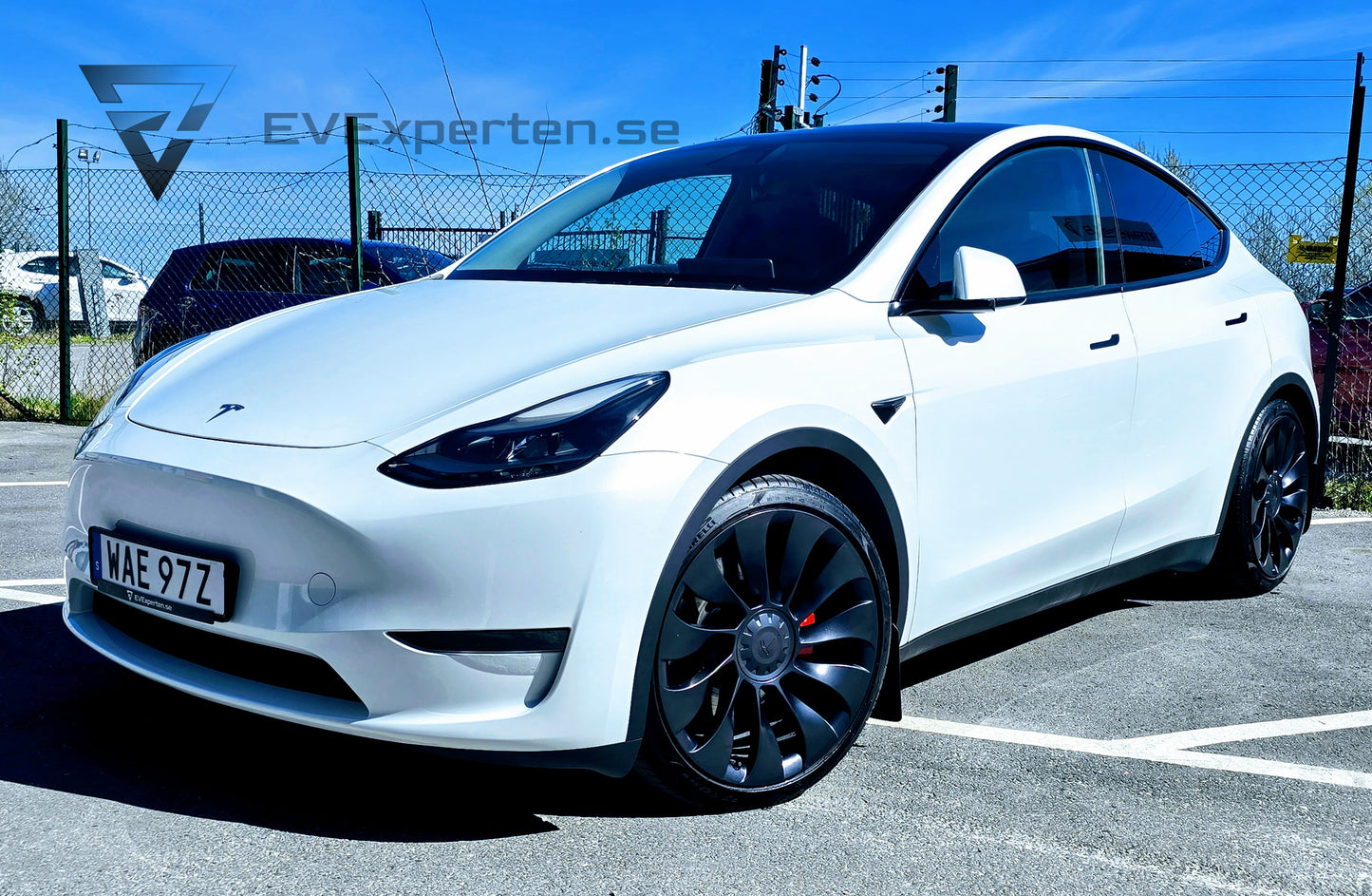 Deposition - Tesla Model Y Performance - Ryzen & Dragkrok - 2023