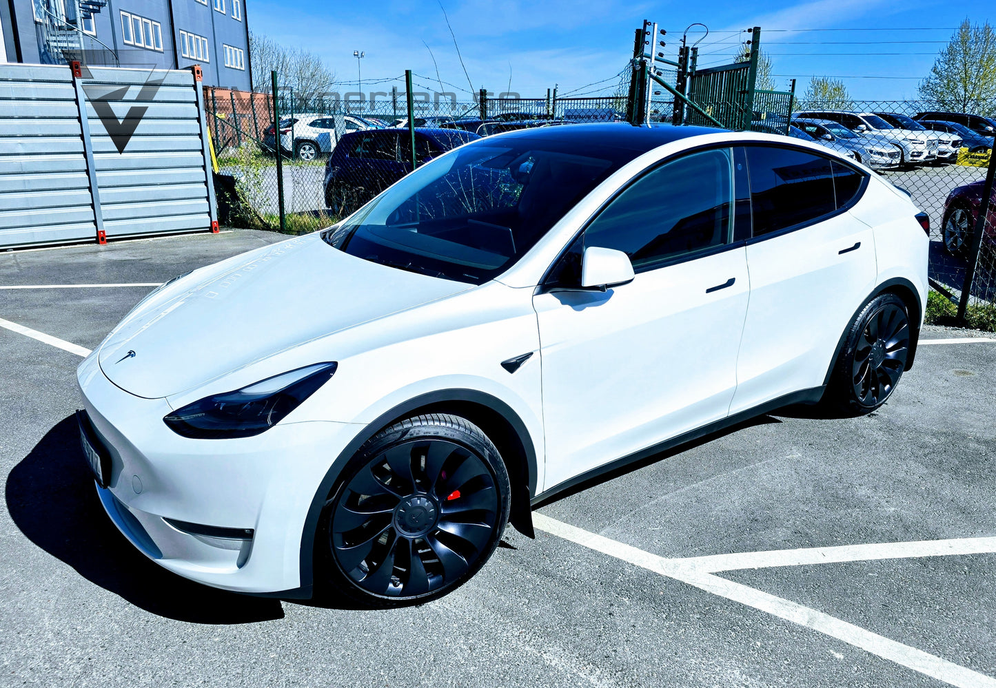 Deposition - Tesla Model Y Performance - Ryzen & Dragkrok - 2023
