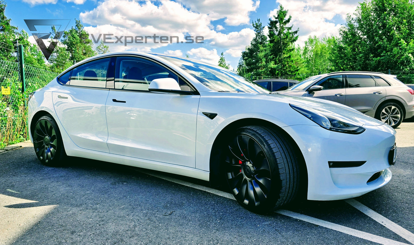 Deposition - Tesla Model 3 Performance - Full Refresh & Ryzen - 2022