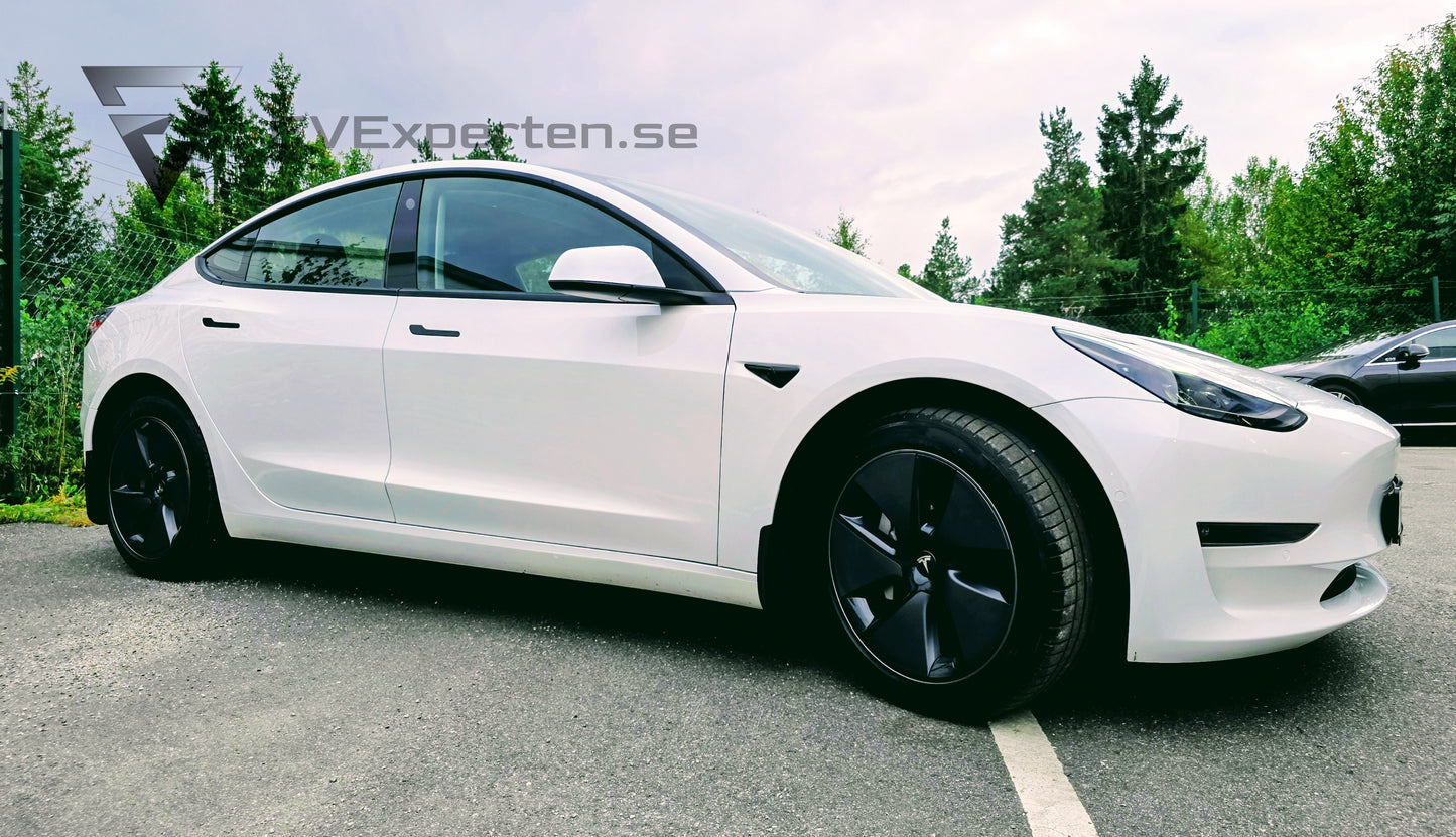 Deposition - Tesla Model 3 Standard Range Plus - Full Refresh - 2022
