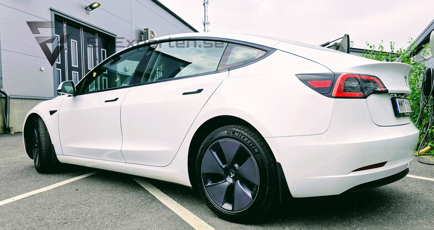 Deposition - Tesla Model 3 Standard Range Plus - Full Refresh - 2022