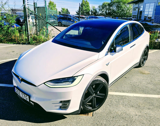Deposition - Tesla Model X Long Range AWD Raven - 2020