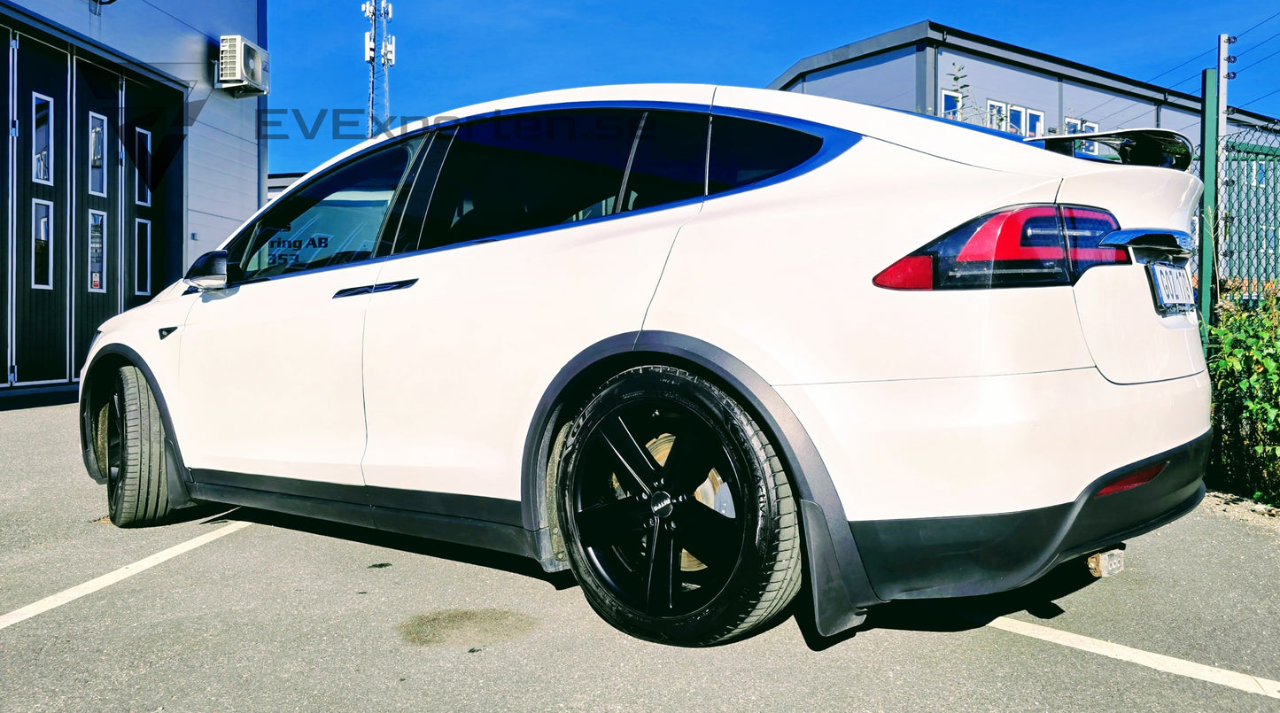 Deposition - Tesla Model X Long Range AWD Raven - 2020
