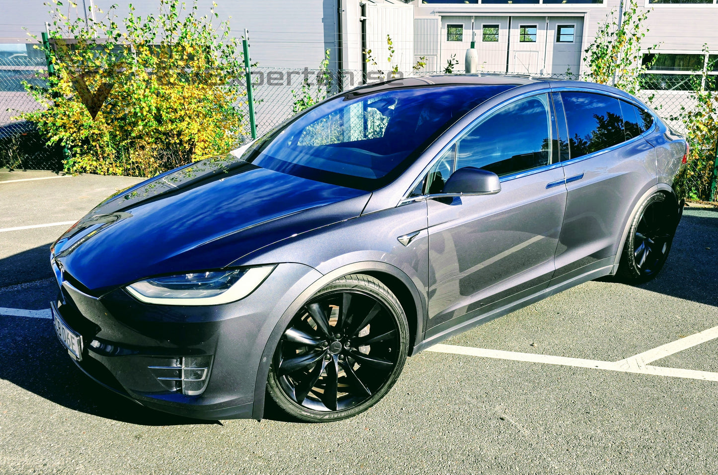 Deposition - Tesla Model X Long Range Plus AWD Raven - 2021