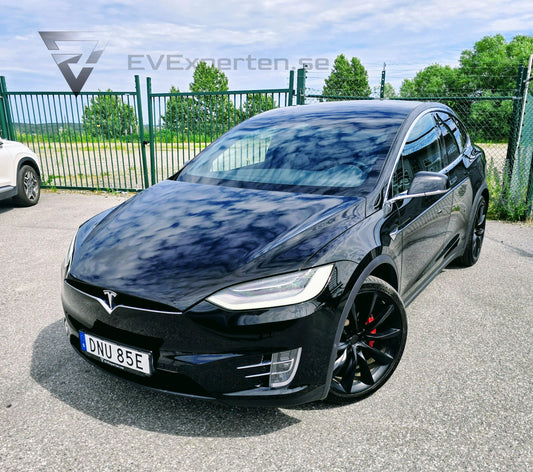 Deposition - Tesla Model X Performance Ludicrous+ Raven - 2020