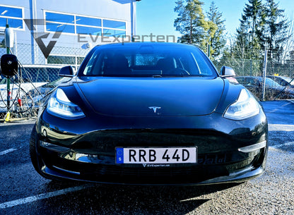 Deposition - Tesla Model 3 Long Range - 2019