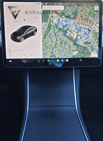 Deposition - Tesla Model 3 Long Range - 2019