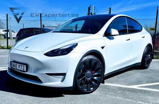 Deposition - Tesla Model Y Performance -  Ryzen & Dragkrok - 2023