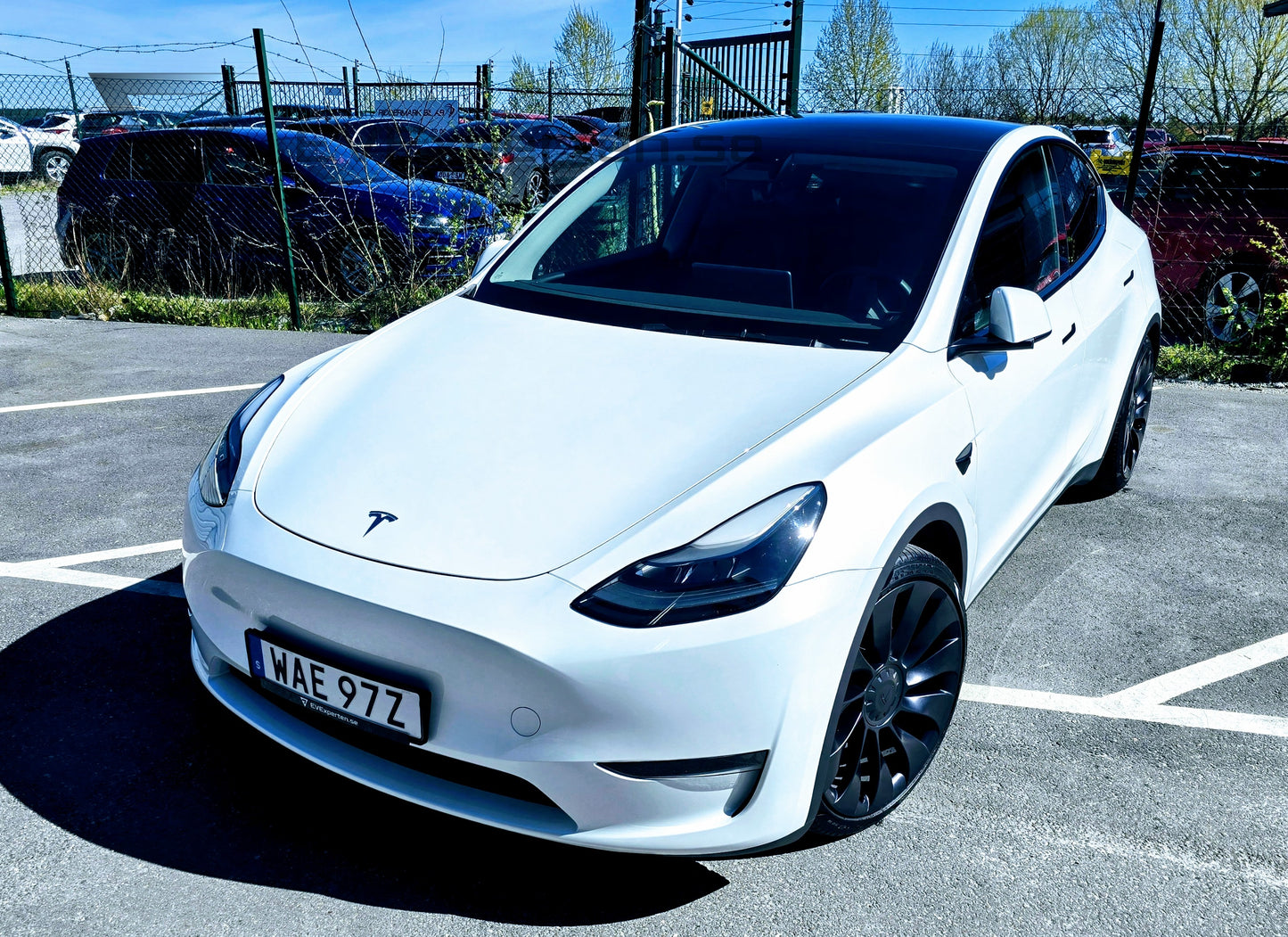 Deposition - Tesla Model Y Performance -  Ryzen & Dragkrok - 2023