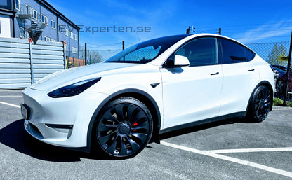 Deposition - Tesla Model Y Performance -  Ryzen & Dragkrok - 2023