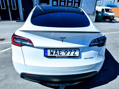 Deposition - Tesla Model Y Performance -  Ryzen & Dragkrok - 2023