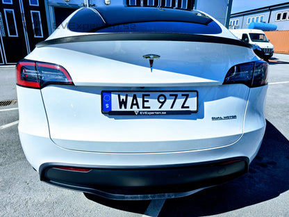 Deposition - Tesla Model Y Performance -  Ryzen & Dragkrok - 2023