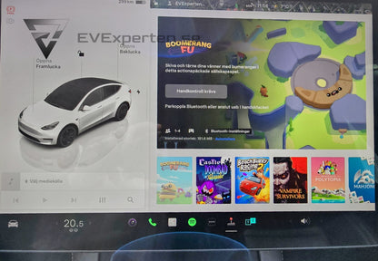 Deposition - Tesla Model Y Performance -  Ryzen & Dragkrok - 2023