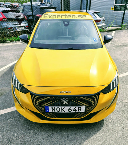 Deposition - Peugeot E-208 GT Line - 2020