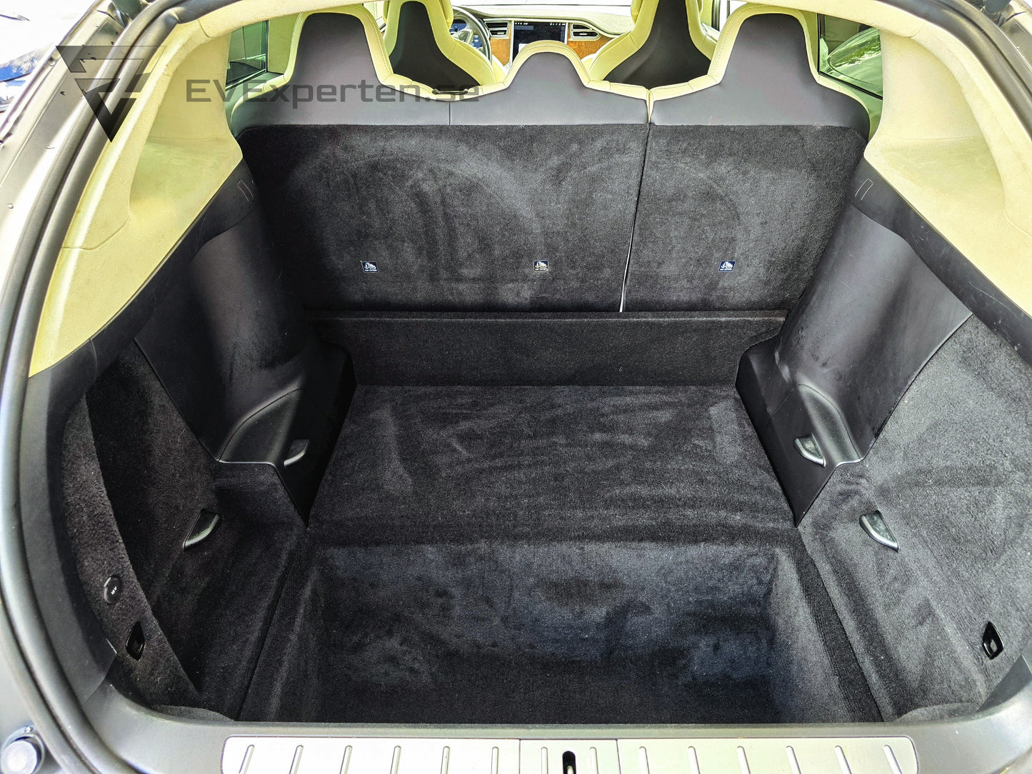 Deposition - Tesla Model X 100D - FSD - 2017