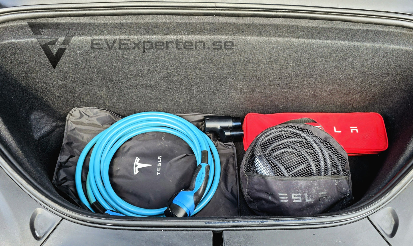 Deposition - Tesla Model X 100D - FSD - 2017