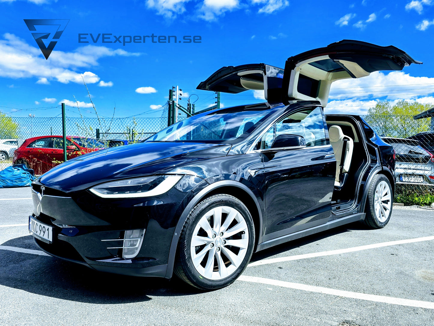 Deposition - Tesla Model X 100D - FSD - 2017