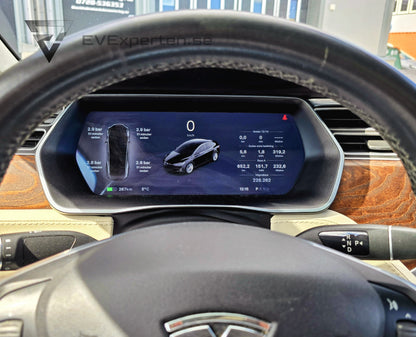 Deposition - Tesla Model X 100D - FSD - 2017