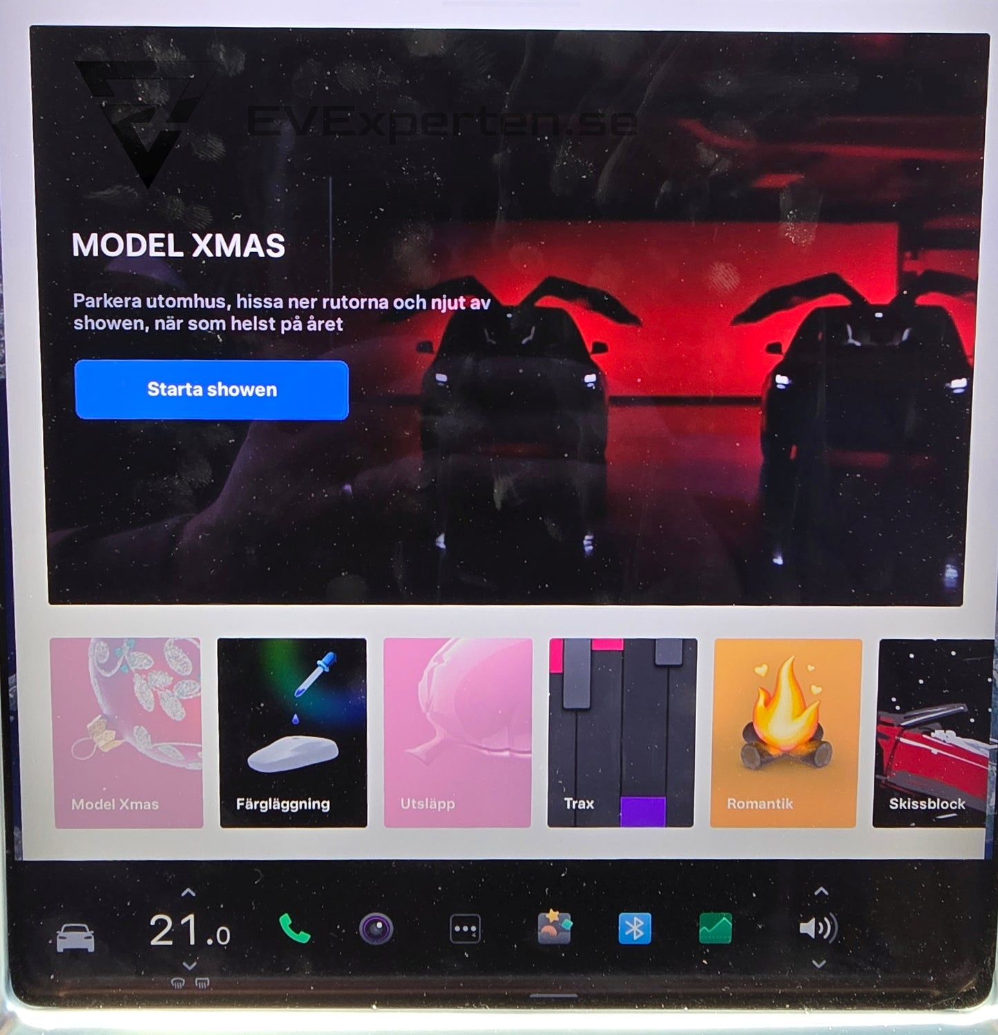 Deposition - Tesla Model X 100D - FSD - 2017