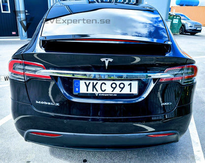 Deposition - Tesla Model X 100D - FSD - 2017