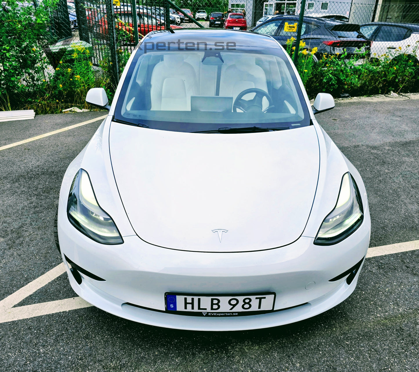 Deposition - Tesla Model 3 Standard Range Plus - Full Refresh - 2021