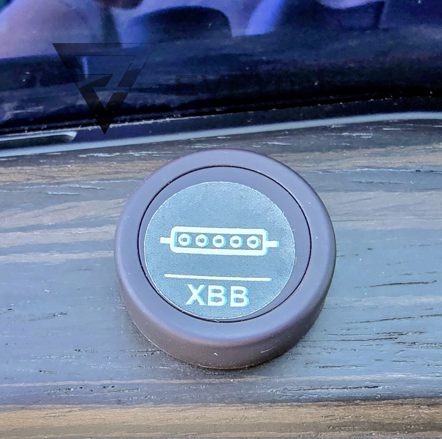 Deposition - Tesla Model X Long Range Palladium - Drag - 2023