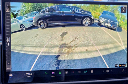 Deposition - Tesla Model X Long Range Palladium - Drag - 2023