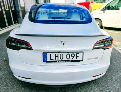 Deposition - Tesla Model 3 Performance - Full Refresh & Ryzen - 2022