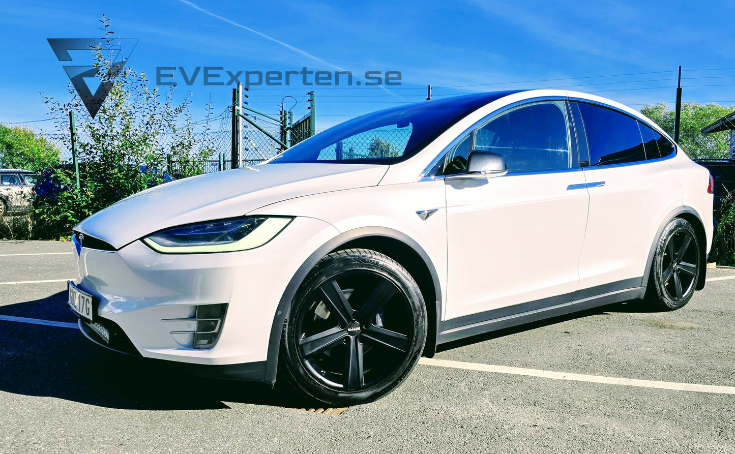 Deposition - Tesla Model X Long Range AWD Raven - 2020