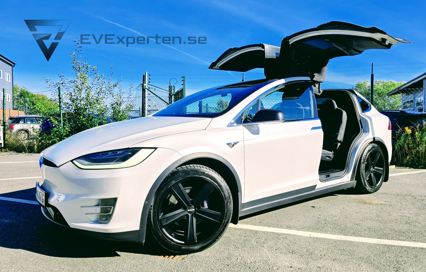 Deposition - Tesla Model X Long Range AWD Raven - 2020