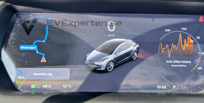 Deposition - Tesla Model X Long Range Plus AWD Raven - 2021