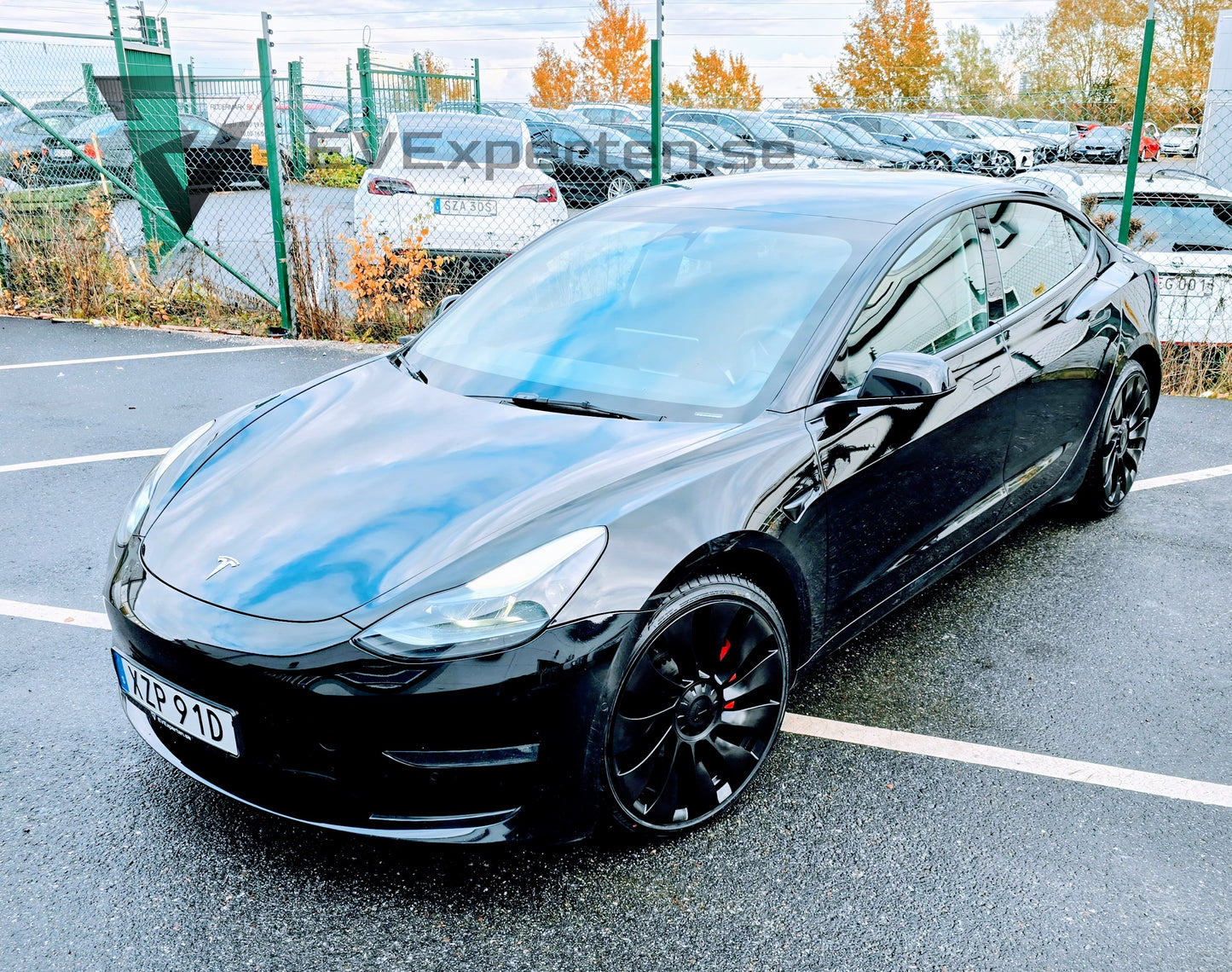 Deposition - Tesla Model 3 Performance - Full Refresh & Ryzen Lågmil - 2022