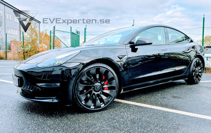 Deposition - Tesla Model 3 Performance - Full Refresh & Ryzen Lågmil - 2022