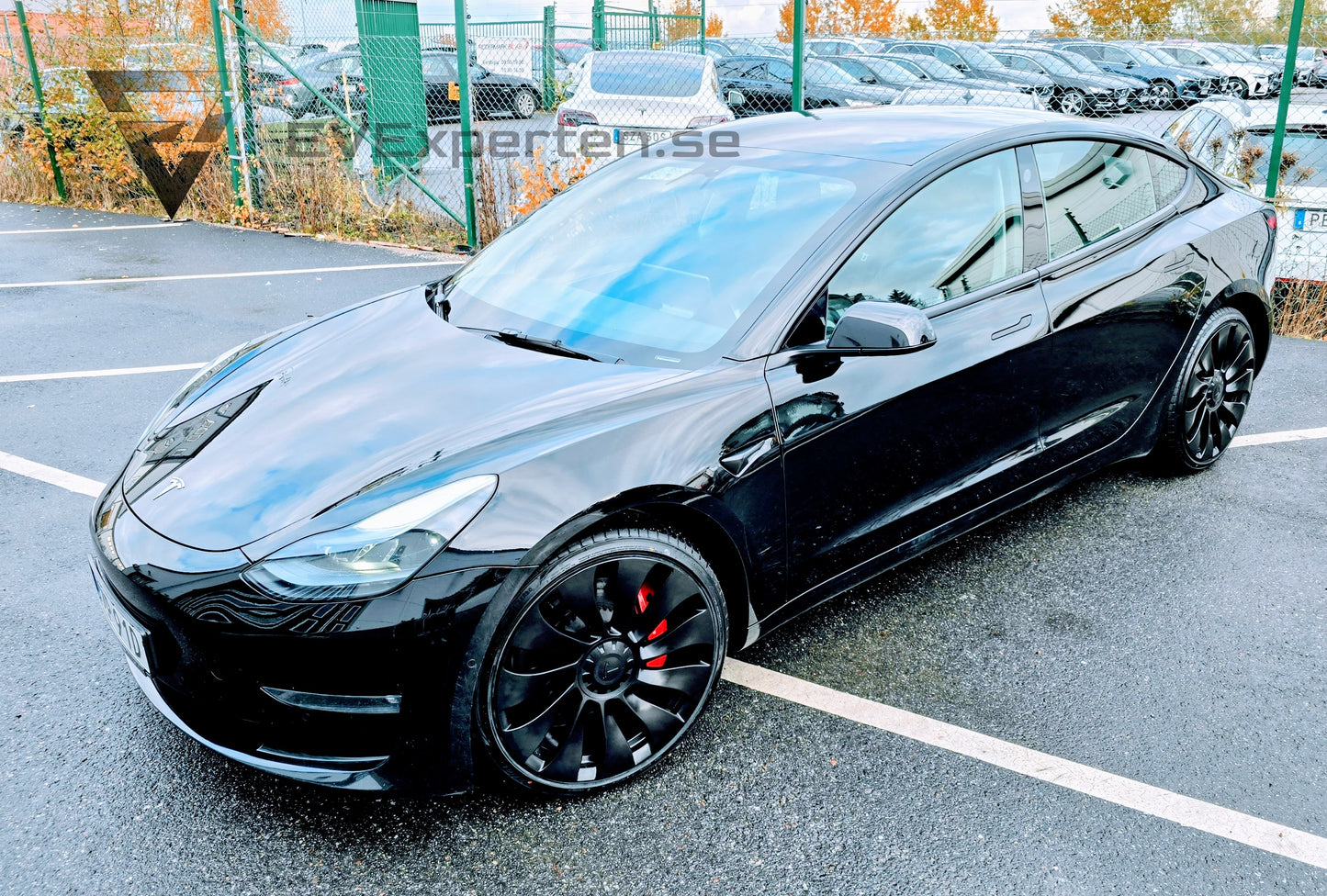 Deposition - Tesla Model 3 Performance - Full Refresh & Ryzen Lågmil - 2022