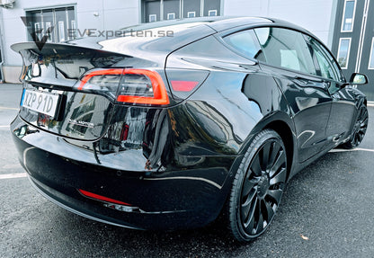 Deposition - Tesla Model 3 Performance - Full Refresh & Ryzen Lågmil - 2022