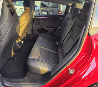 Deposition - Tesla Model 3 Performance - Highland - 2024