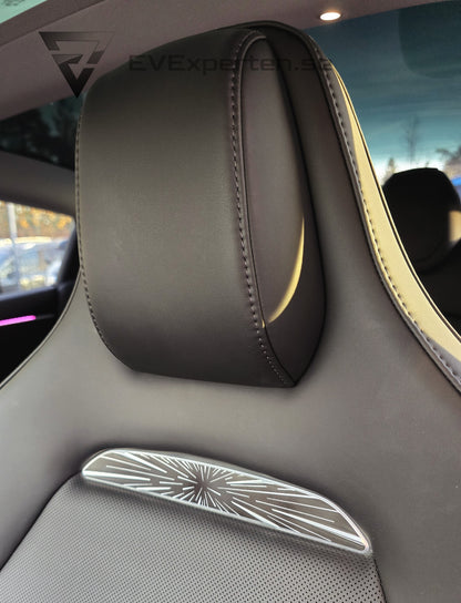 Deposition - Tesla Model 3 Performance - Highland - 2024