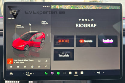 Deposition - Tesla Model 3 Performance - Highland - 2024