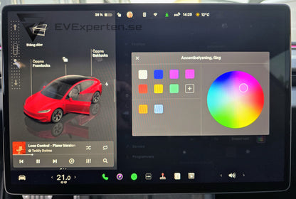 Deposition - Tesla Model 3 Performance - Highland - 2024