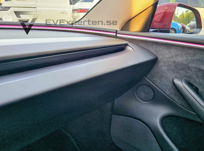 Deposition - Tesla Model 3 Performance - Highland - 2024