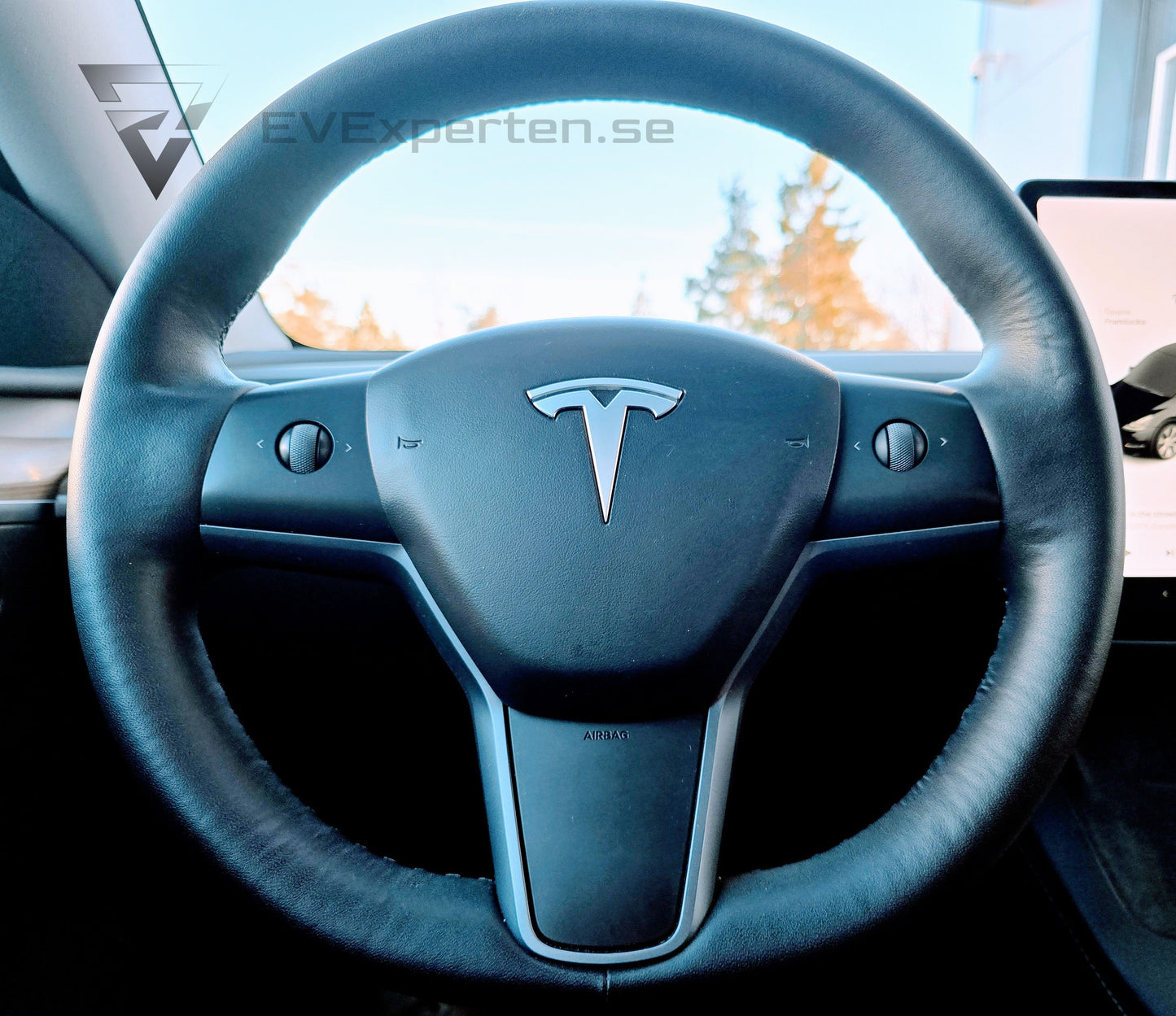 Deposition - Tesla Model Y Long Range - 20" Induction & Drag - 2021