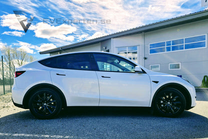 Deposition - Tesla Model Y RWD - Dragkrok - 2023