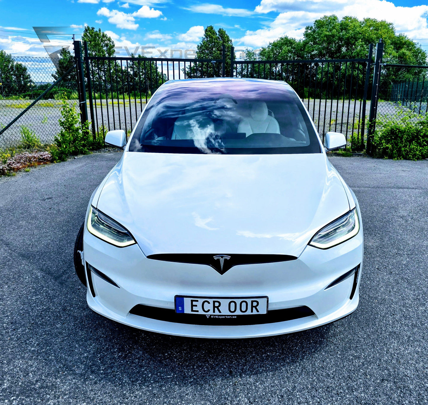 Deposition - Tesla Model X Plaid - 6 sits & Drag - 2023