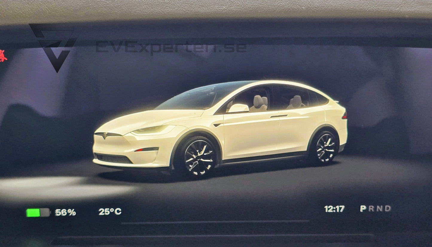 Deposition - Tesla Model X Plaid - 6 sits & Drag - 2023