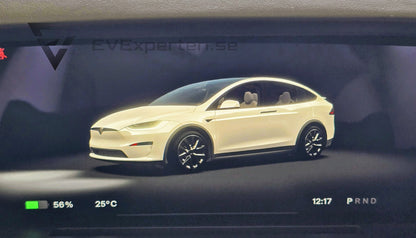 Deposition - Tesla Model X Plaid - 6 sits & Drag - 2023