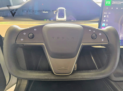 Deposition - Tesla Model X Plaid - 6 sits & Drag - 2023