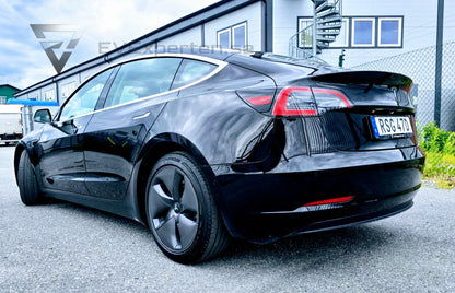Deposition - Tesla Model 3 Long Range - 2019